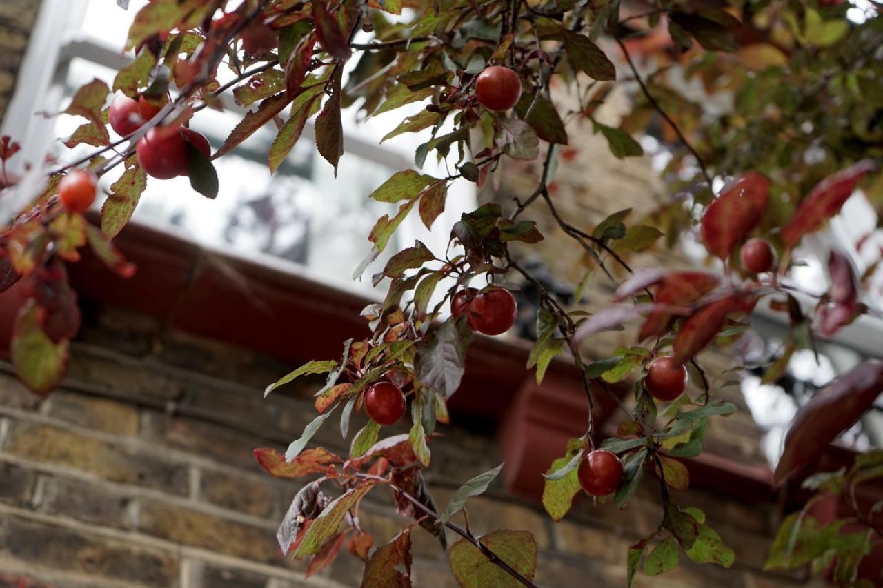 Luxury London Garden Home Sleep 7, 2 Mins To Metro Luaran gambar